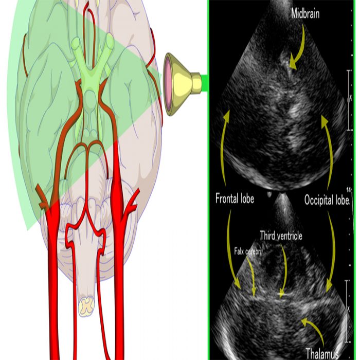 consultorio neurologico